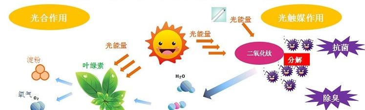 甲醛治理用什么辦法最正確？這三點常見的除甲醛辦法其實是誤區