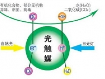 什么除甲醛效果最好呢？