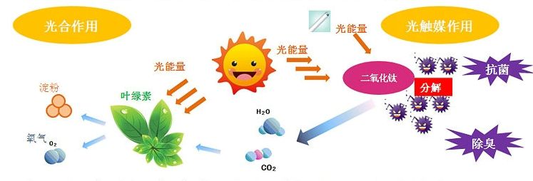 光觸媒去除房間甲醛爭議很大？